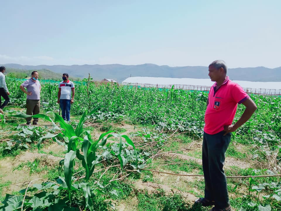 सिर्जनशिल युवा कृषि समुहद्धारा गरिएको तरकारी खेतिको अनुगमन (फोटो फिचर सहित)